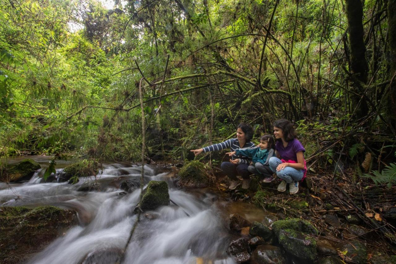Dantica Cloud Forest Lodge San Gerardo de Dota Dış mekan fotoğraf