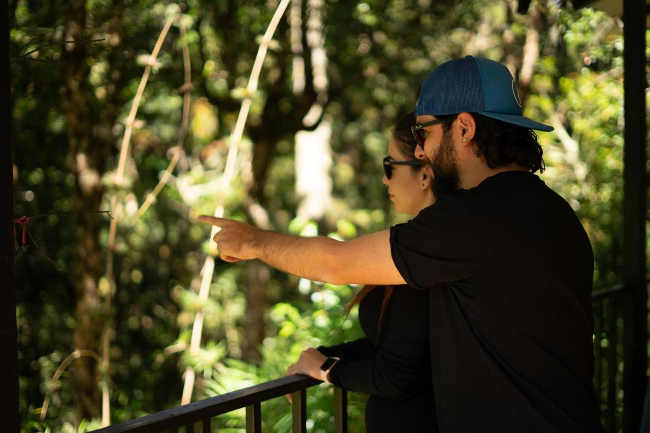 Dantica Cloud Forest Lodge San Gerardo de Dota Dış mekan fotoğraf