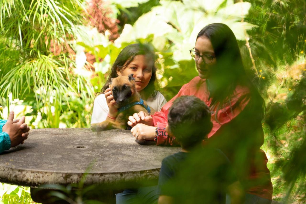 Dantica Cloud Forest Lodge San Gerardo de Dota Dış mekan fotoğraf