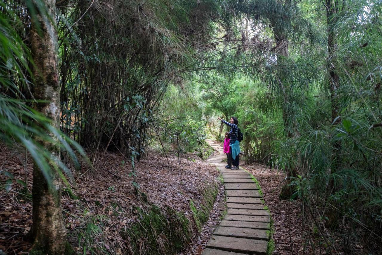 Dantica Cloud Forest Lodge San Gerardo de Dota Dış mekan fotoğraf