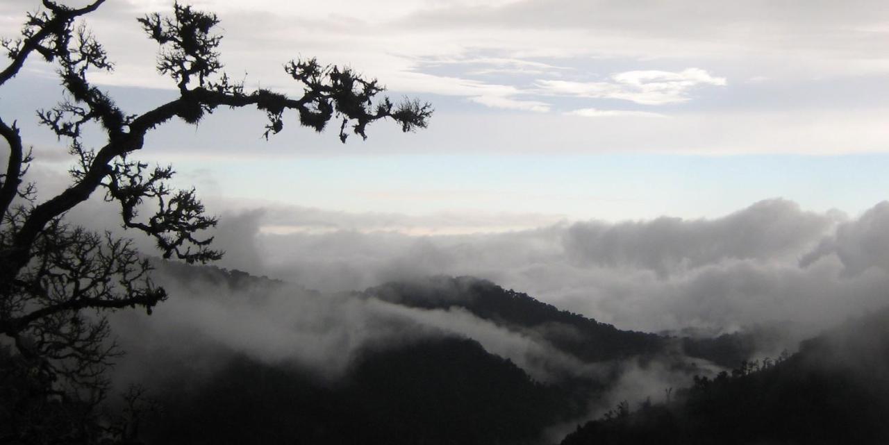 Dantica Cloud Forest Lodge San Gerardo de Dota Dış mekan fotoğraf