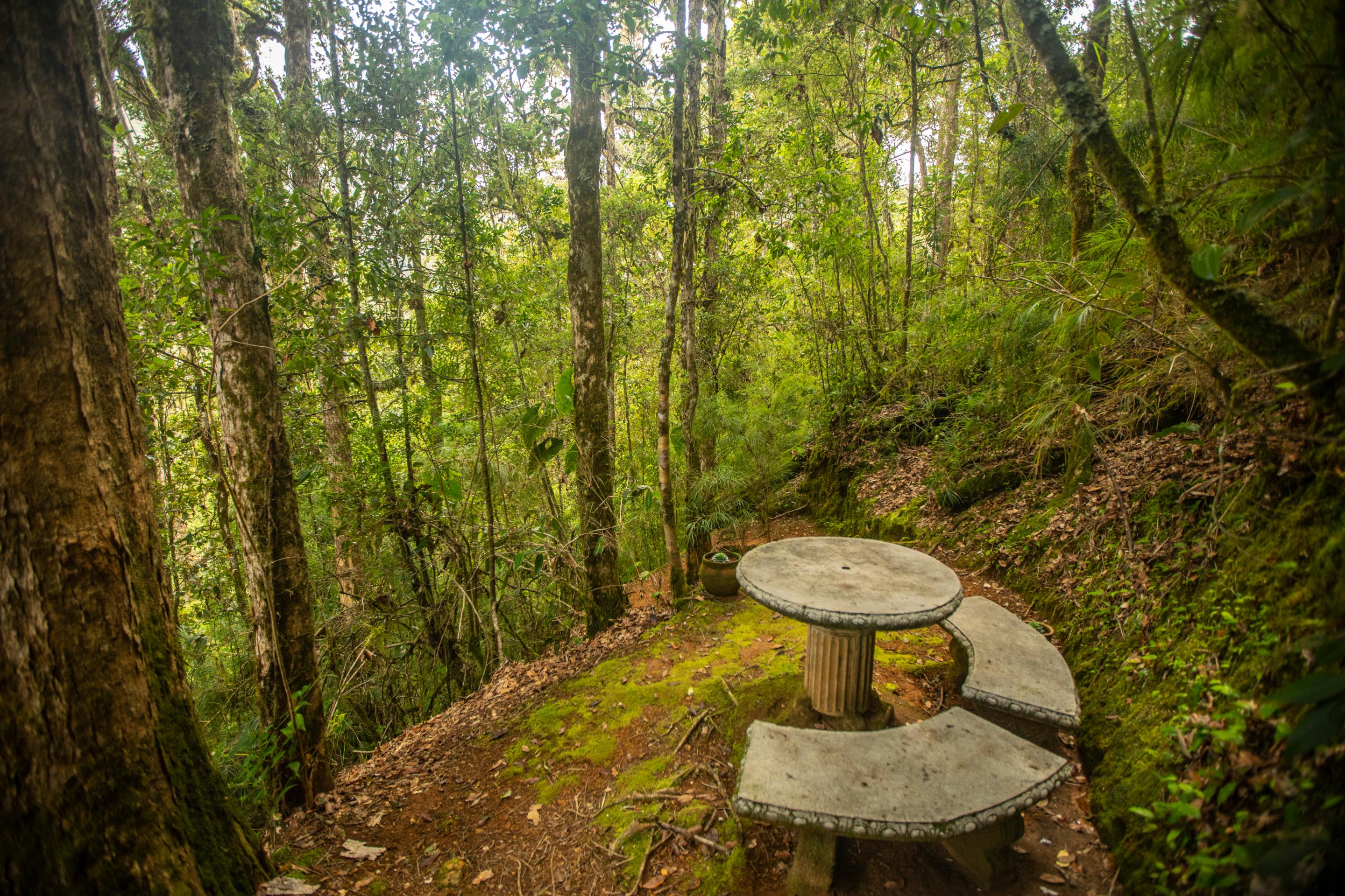 Dantica Cloud Forest Lodge San Gerardo de Dota Dış mekan fotoğraf