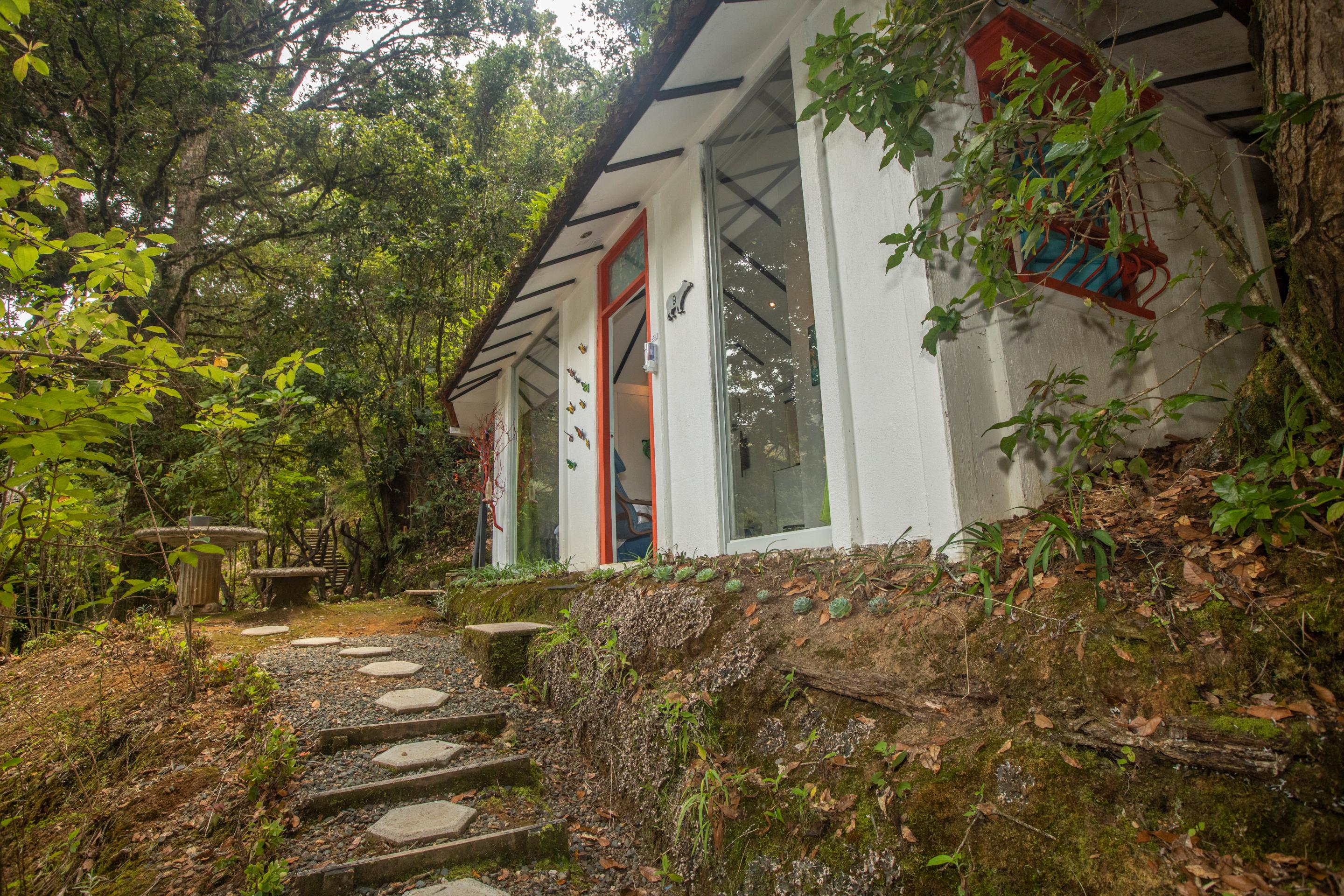 Dantica Cloud Forest Lodge San Gerardo de Dota Dış mekan fotoğraf