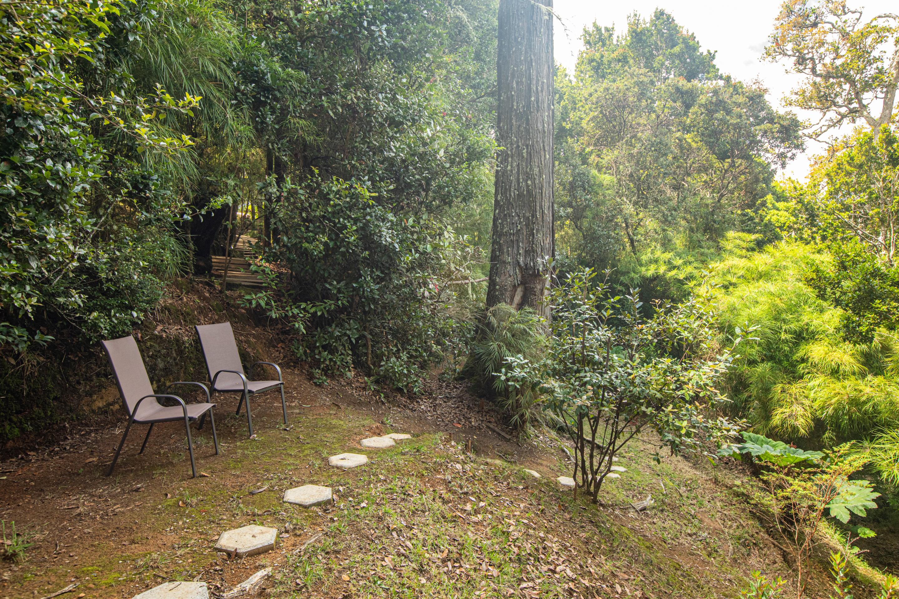 Dantica Cloud Forest Lodge San Gerardo de Dota Dış mekan fotoğraf
