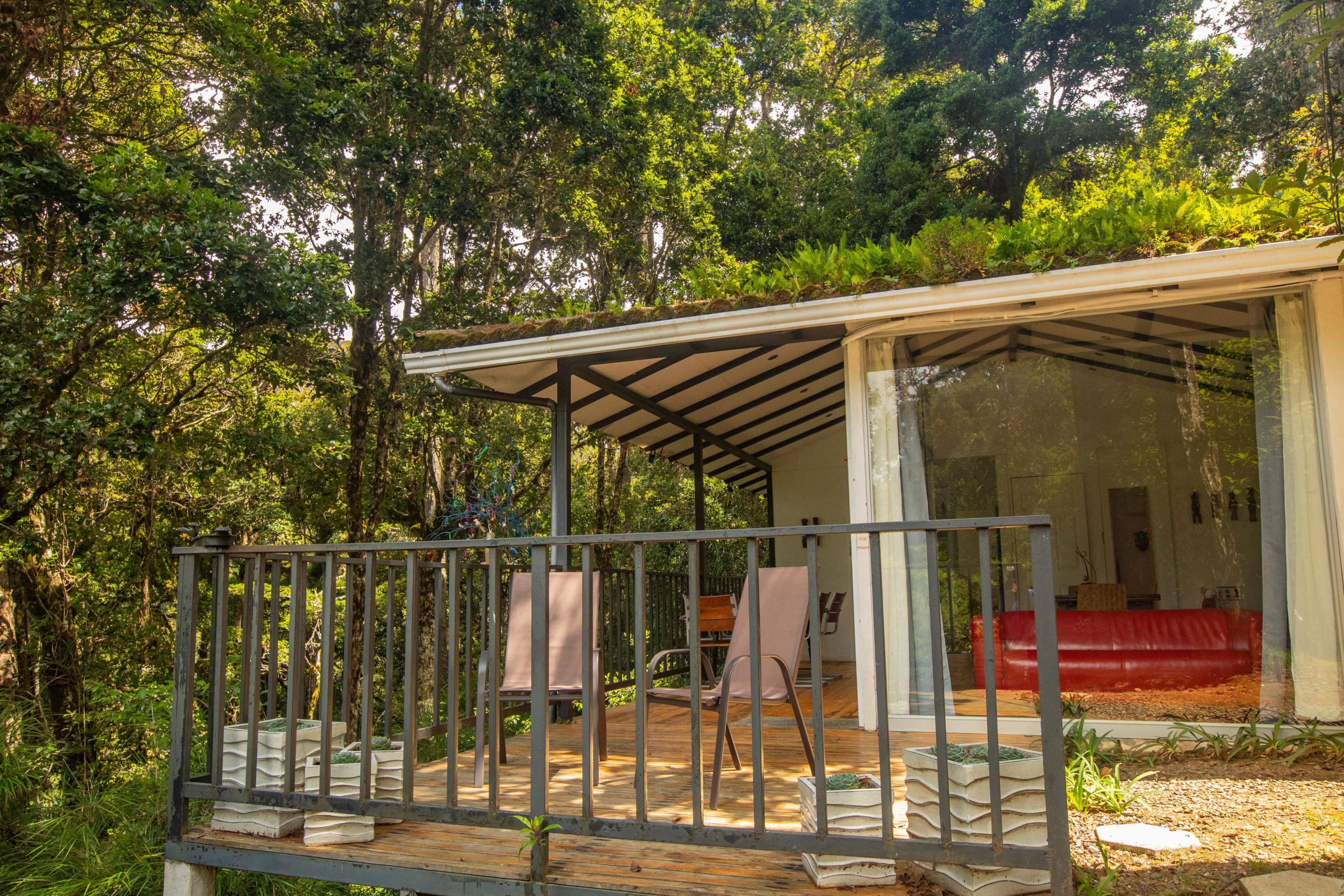 Dantica Cloud Forest Lodge San Gerardo de Dota Dış mekan fotoğraf