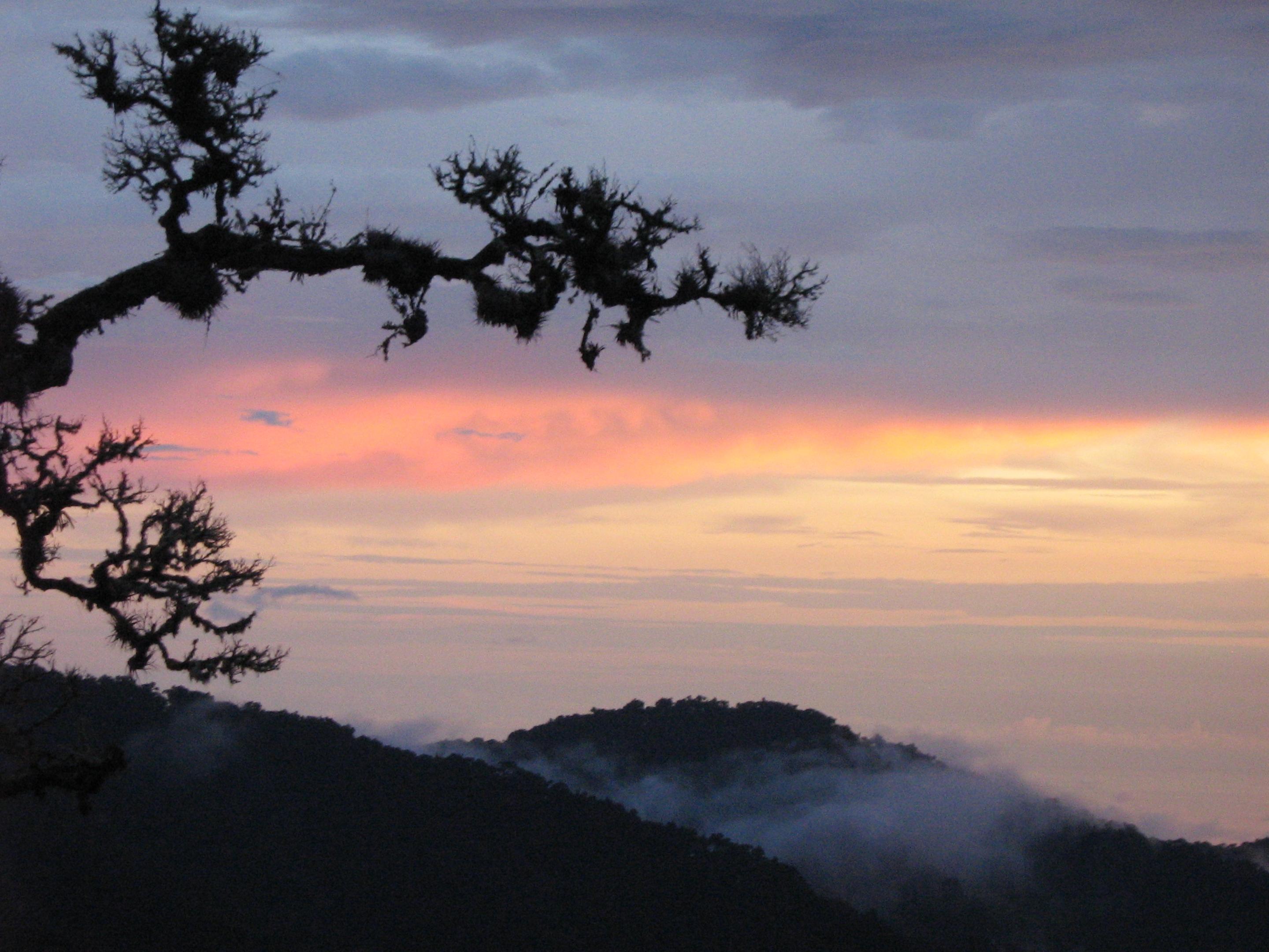 Dantica Cloud Forest Lodge San Gerardo de Dota Dış mekan fotoğraf