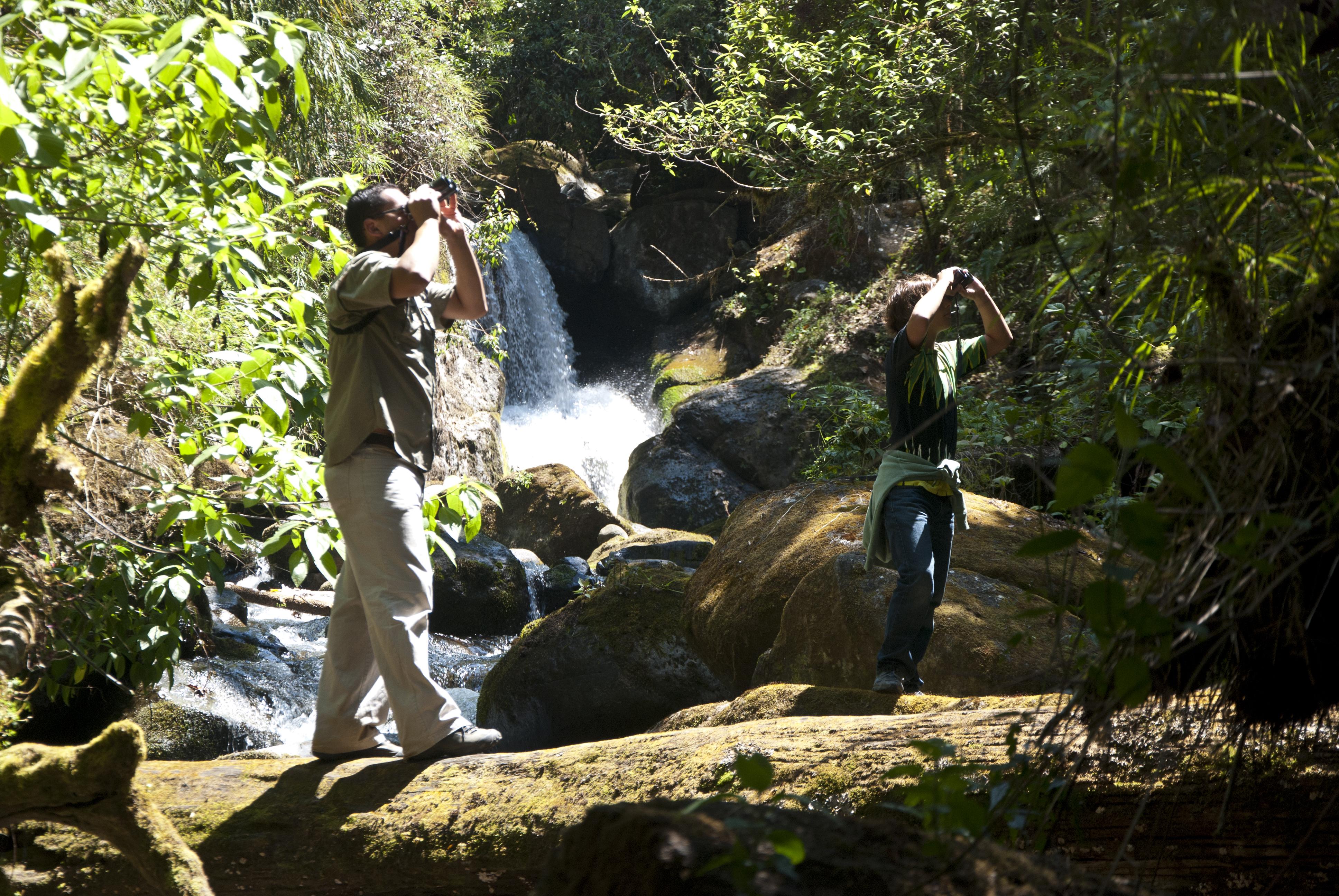 Dantica Cloud Forest Lodge San Gerardo de Dota Dış mekan fotoğraf