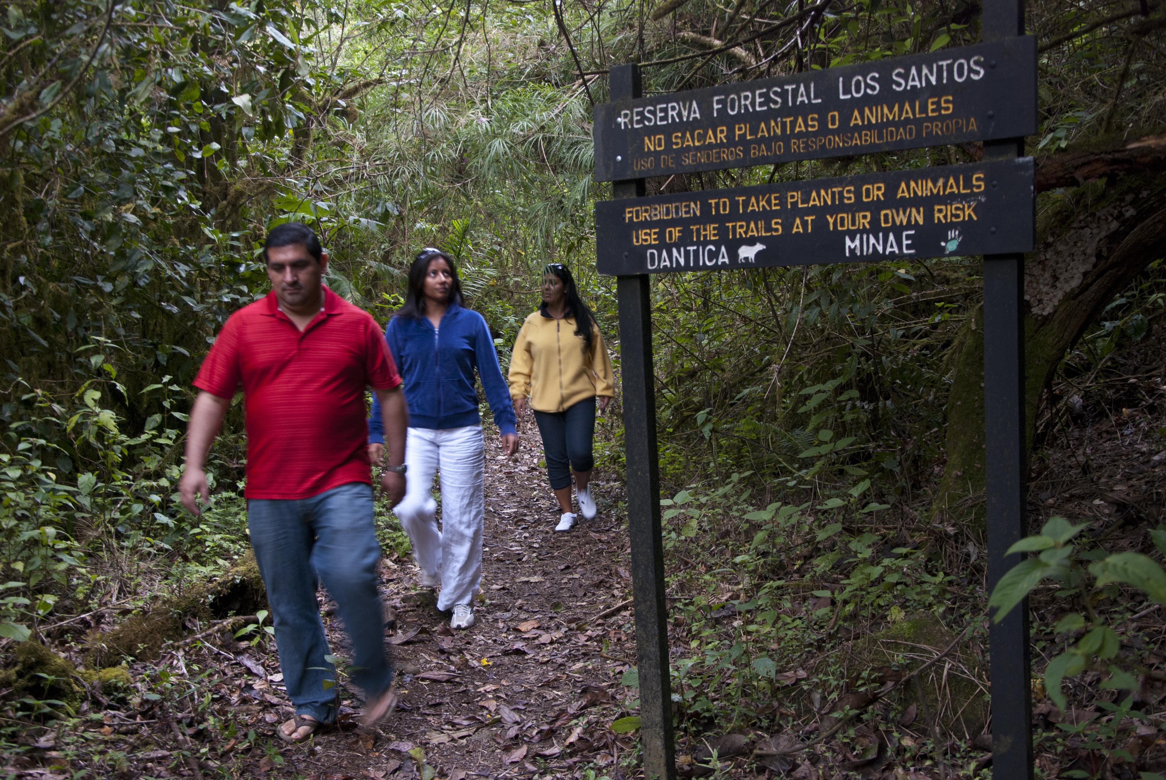 Dantica Cloud Forest Lodge San Gerardo de Dota Dış mekan fotoğraf