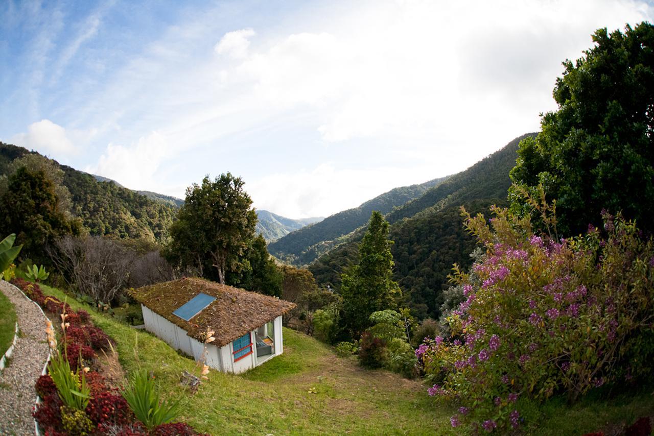 Dantica Cloud Forest Lodge San Gerardo de Dota Dış mekan fotoğraf